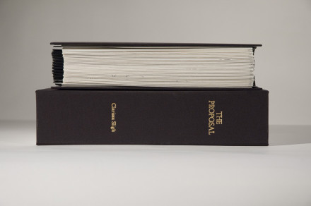 Photograph of Accordion Book Proposal on Box