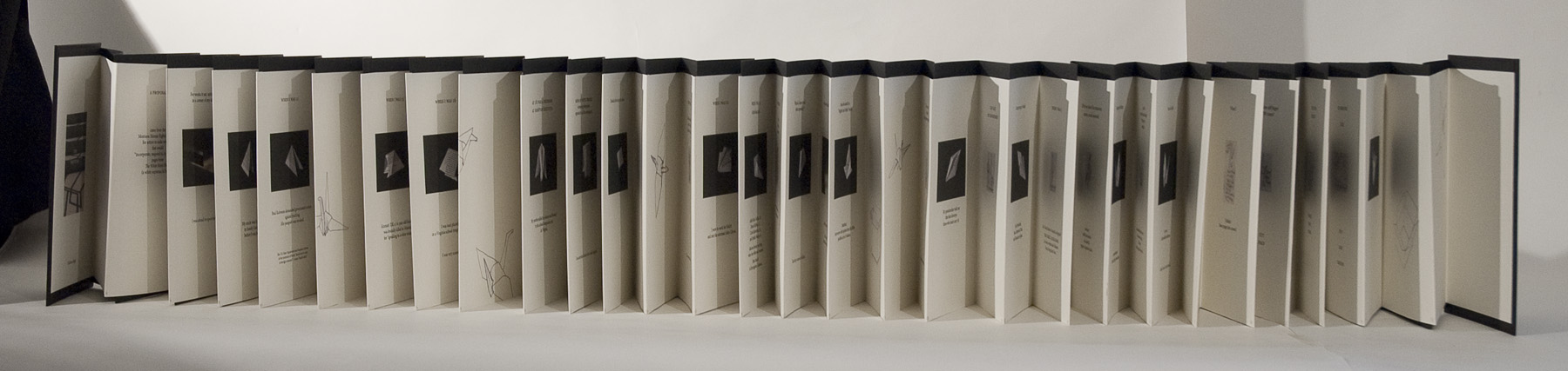 Photograph of Accordion Book Proposal